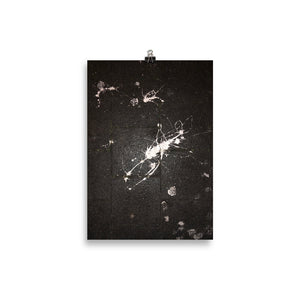 Poster, Splash On Asphalt